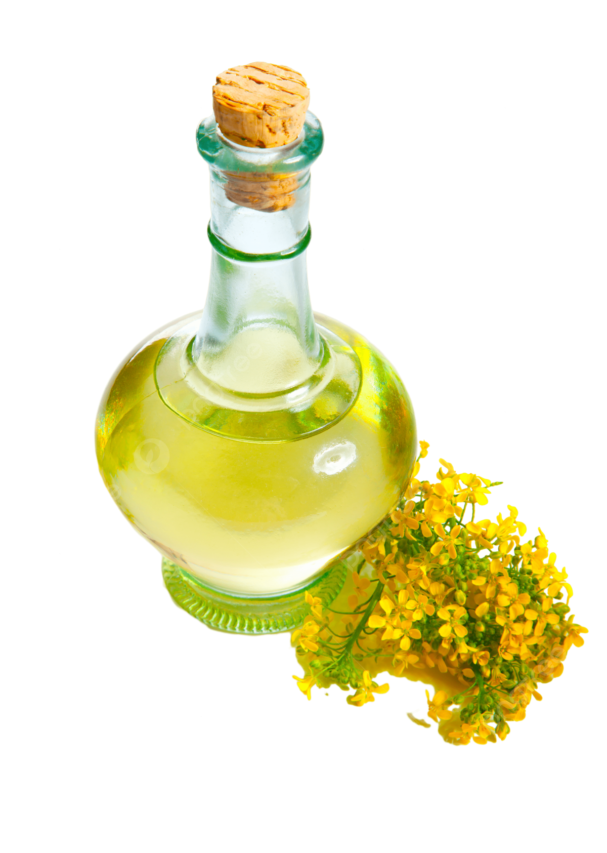 pngtree-fresh-rapeseed-oil-in-a-bottle-freshness-oil-picture-image_13166927